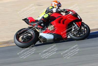 media/Jan-09-2022-SoCal Trackdays (Sun) [[2b1fec8404]]/Turn 8 (1045am)/